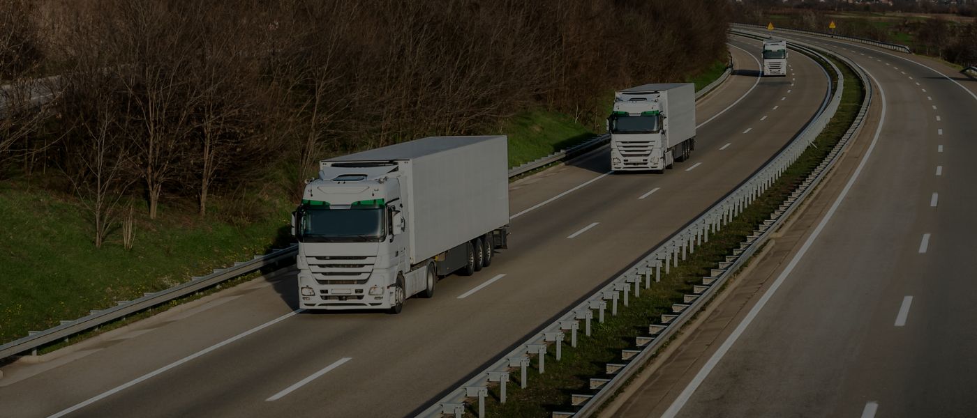 Equipa de logística e transporte