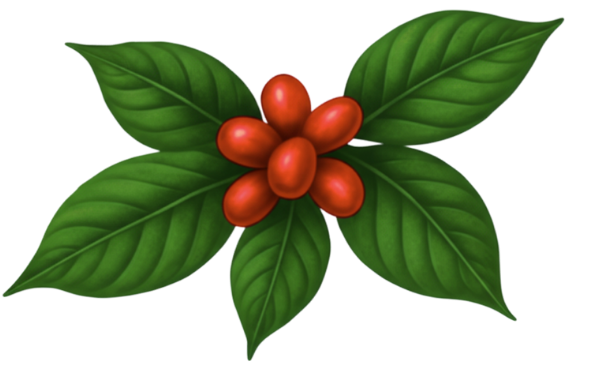 Café San Raphael Logo