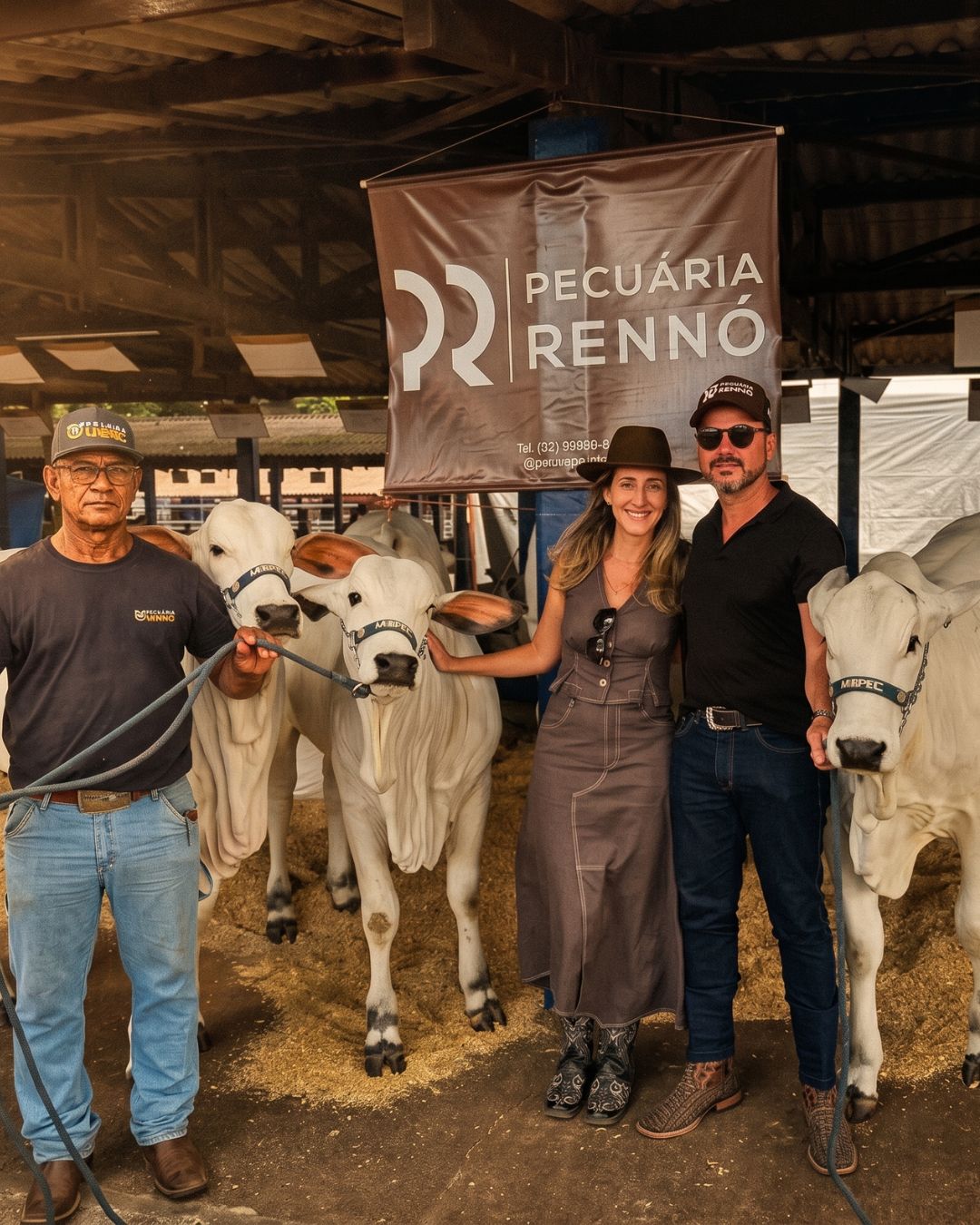 Bezerros Nelore Pecuária Rennó
